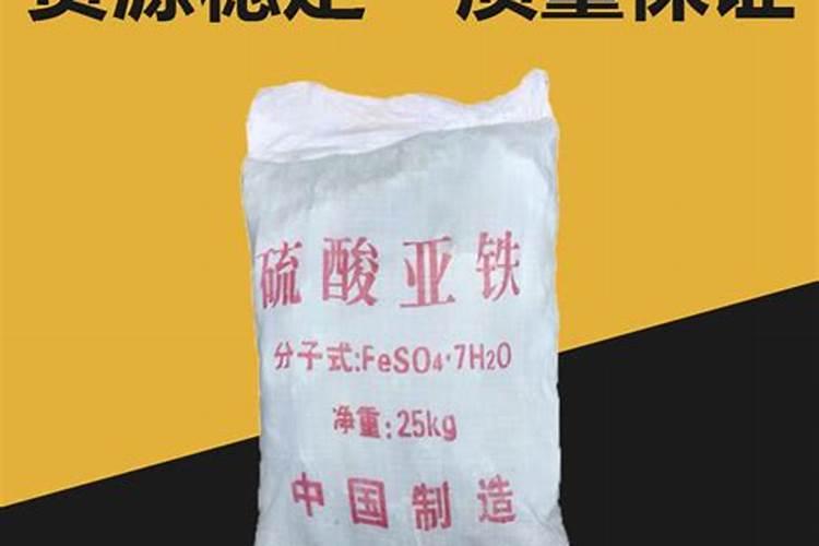 北方怎样养九里香盆栽