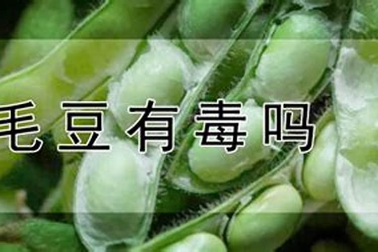 甜瓜坐果期水肥管理