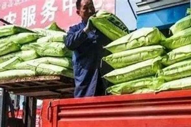 胡萝卜控旺用什么药最好