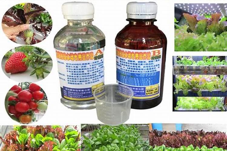 氨基酸水溶肥料的用法有哪些 氨基酸水溶肥使用禁忌