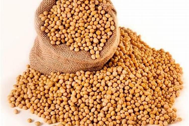 硼肥的用量、作用及使用方法