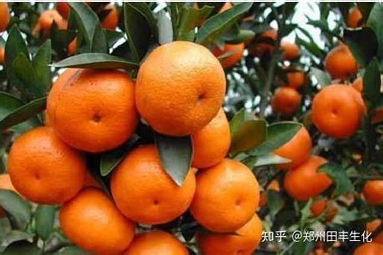 钙镁肥的作用,钙镁肥的特点