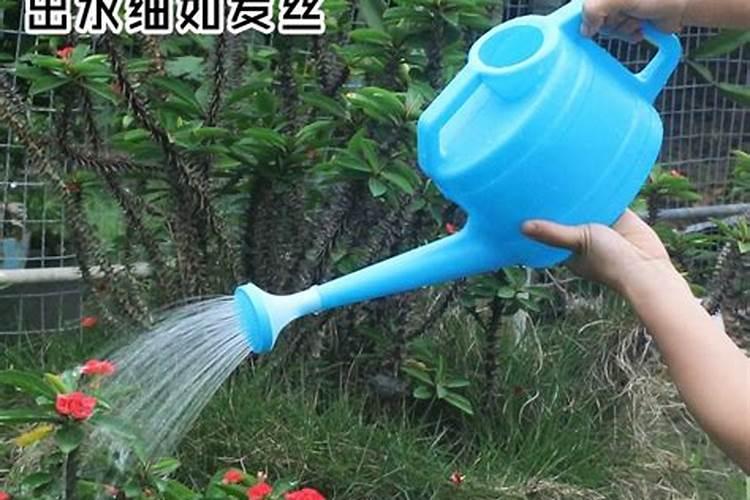 磷酸二氢钾浇花起什么作用(用来浇灌、喷施注意事项)