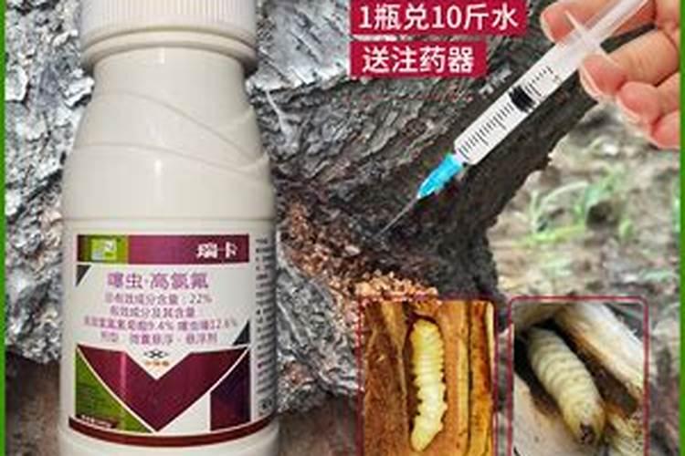 园林树木病虫害防治方法