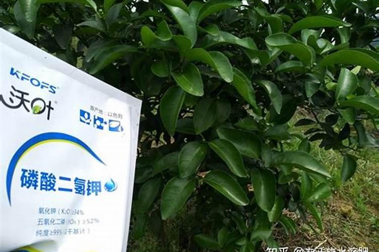 腐植酸有什么作用？腐植酸肥料的使用标准是什么？