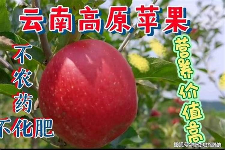 农用电动喷雾器能不能喷外墙涂料
