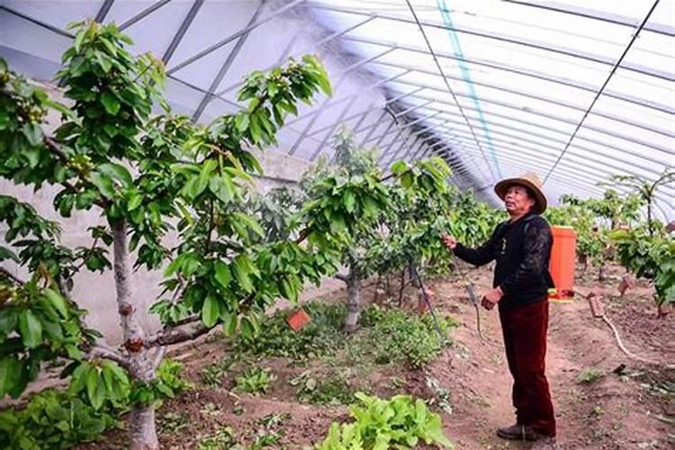 缺钾去药店买什么药