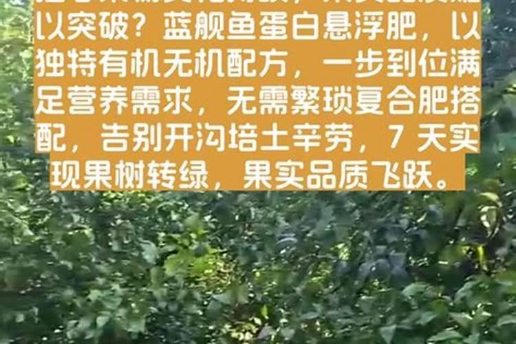 鱼蛋白自制配方比例