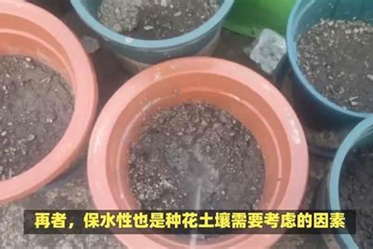 家庭养花要买什么肥料最好(自己在家种花适合的花肥)