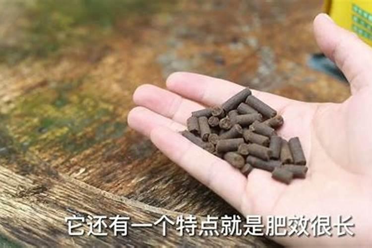 花草黄叶施什么肥、种花施什么肥料最好