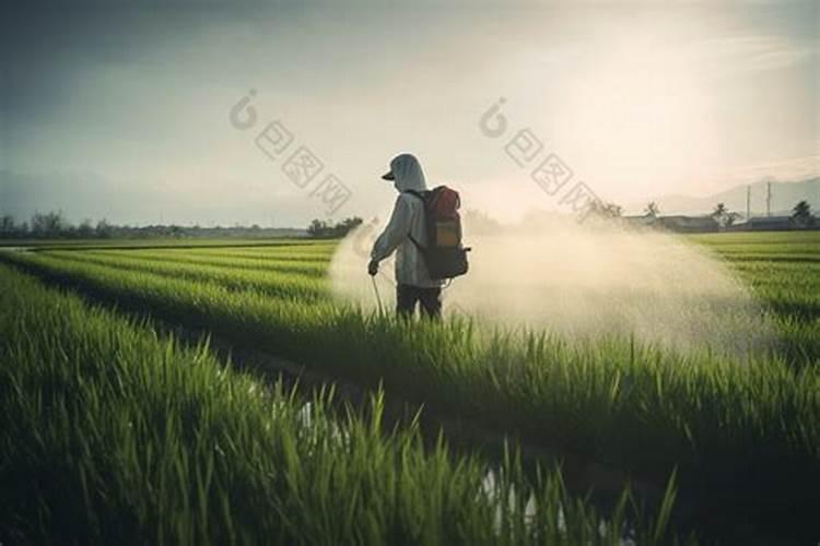 绿豆打什么药能高产和上什么肥料？
