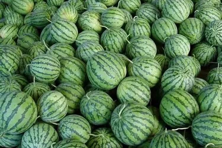 西瓜坐果后用什么肥料