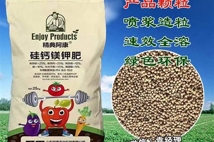 水稻什么时间施肥最好