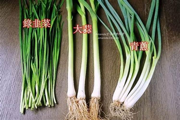 大葱、大蒜和韭菜最怕什么肥料？这3种肥料别乱用,否则干尖黄叶