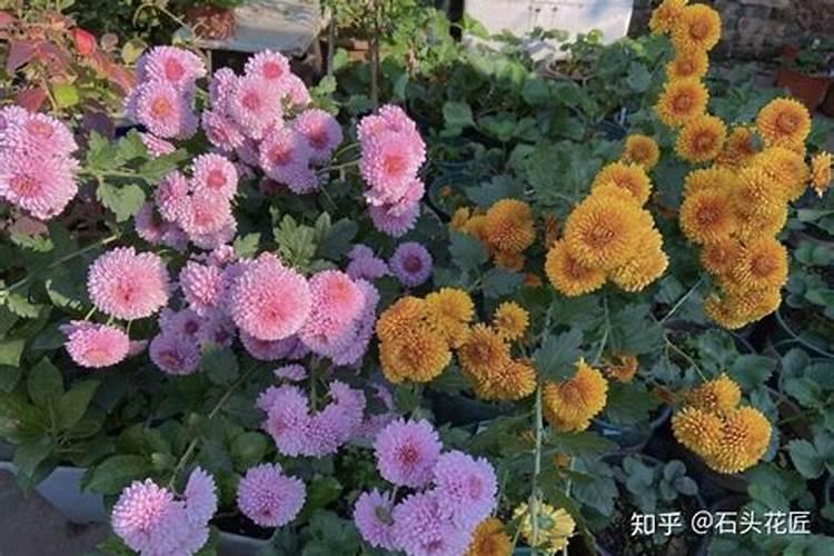 硼肥的施用方法有哪些？
