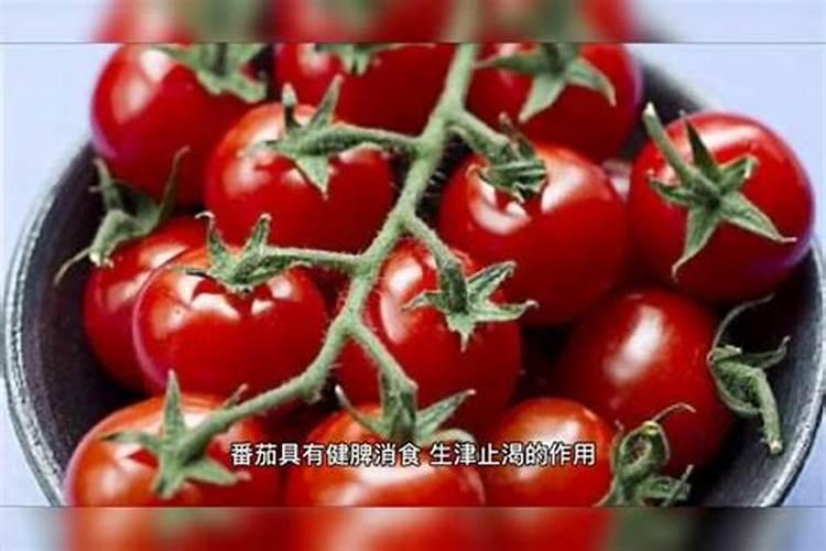 鱼蛋白水溶肥现在怎么用