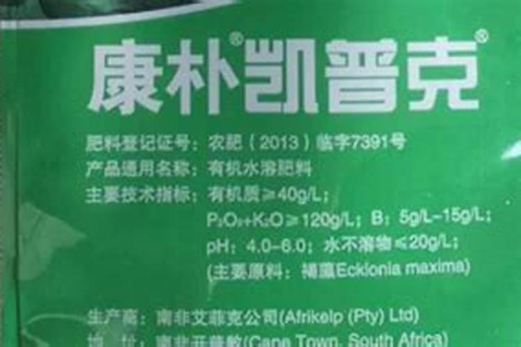 荷叶枯萎是什么原因造成的(荷叶干枯是什么原因)