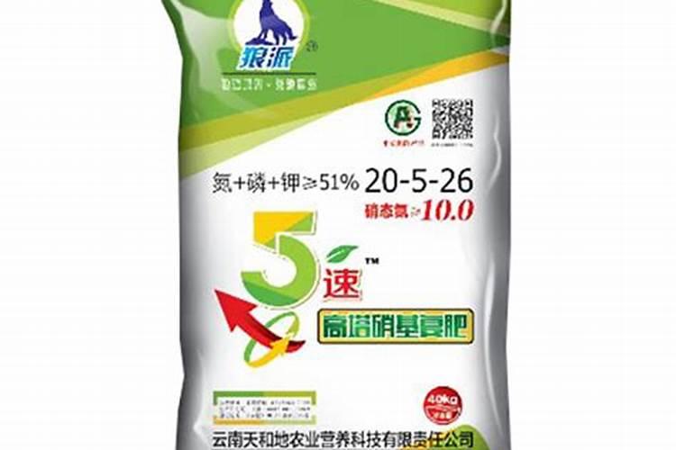 盆栽荷花的种植方法和注意事项