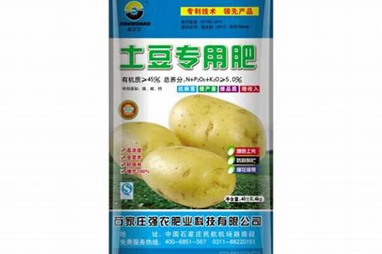 盆栽月季花要施什么肥,一般什么时候施肥？
