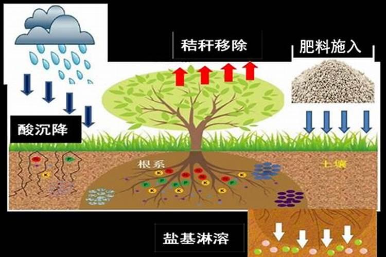 硝酸钾怎么浇花