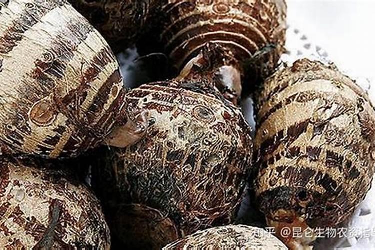 盆栽花怎样用钾肥(钾肥浇花)
