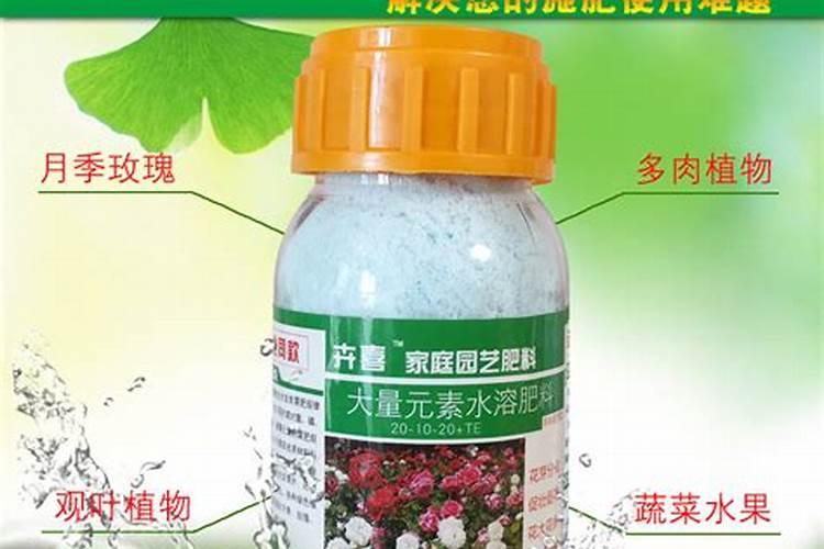 月季花用什么肥料 尿素肥可以当花肥用吗