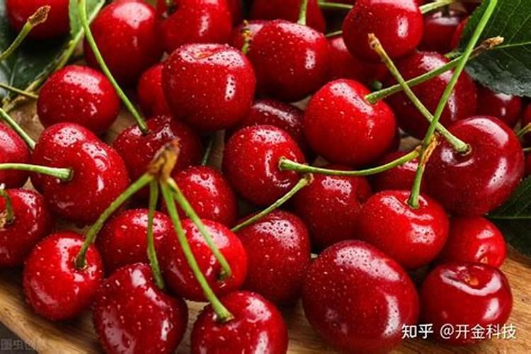 大樱桃用什么肥料早熟还上色