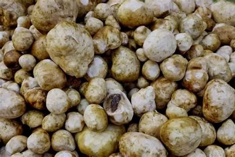 芸苔素使用有什么禁忌