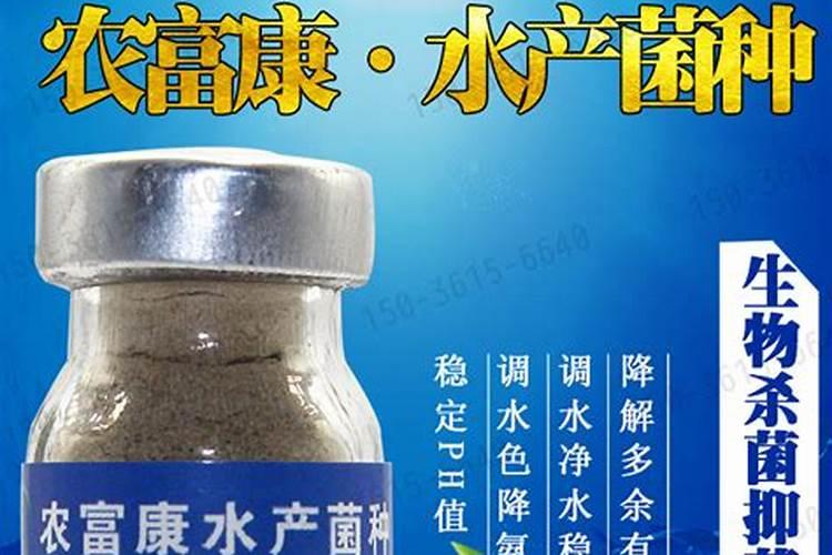 雪莲菌是什么