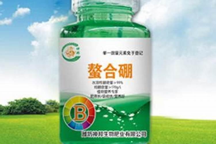 苹果树现在冲施肥能行吗