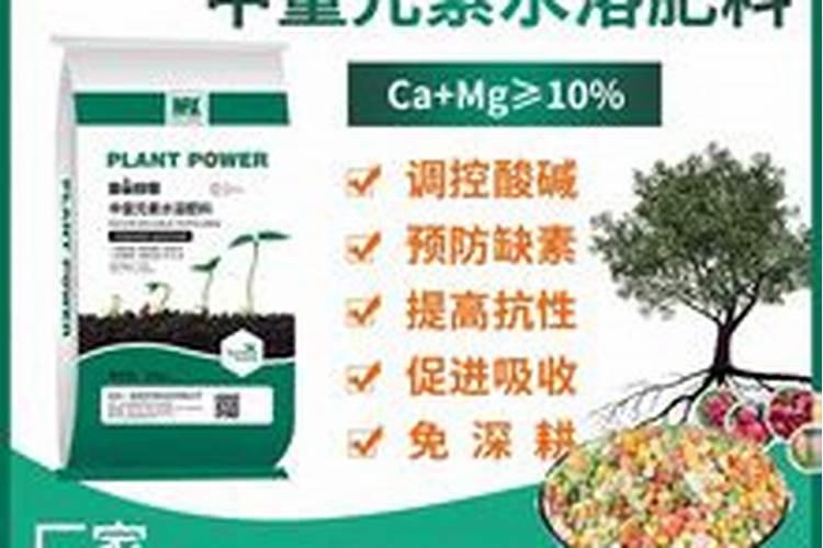 缓苗多久施肥 缓苗需要多久施肥？