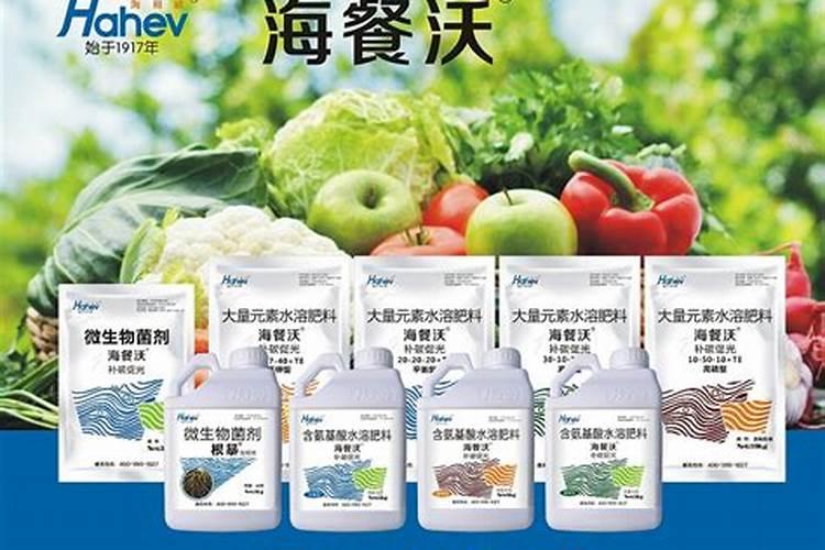 温室黄瓜使用什么水溶肥提高产量？