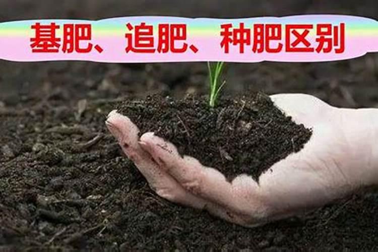 水溶肥跟化肥哪个好