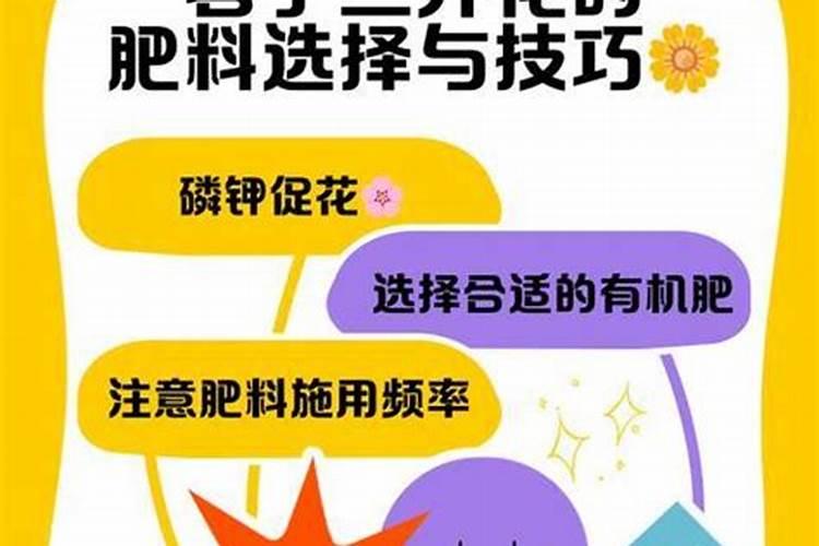 小麦5月份打什么药,上午打药好还是下午