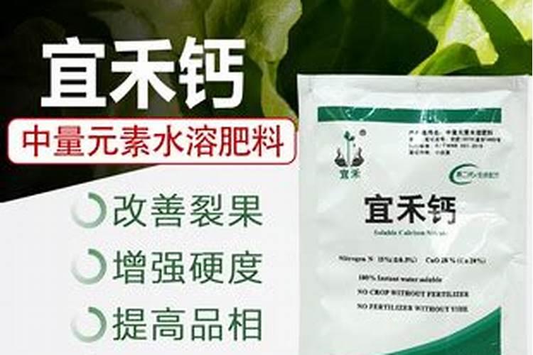 柚子皮发酵多久能当花肥