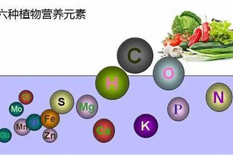 大量元素水溶肥中含钙镁百分比大,对植物根系生长有什么好处,专家详解...