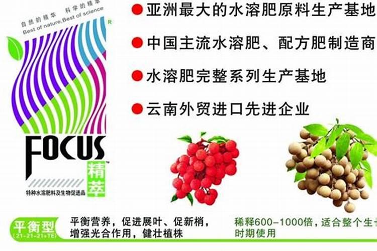 种蒜苗用什么肥料好