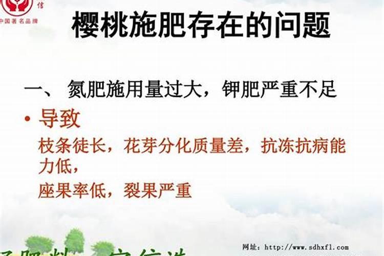 樱桃树叶子发蔫原因及补救方法