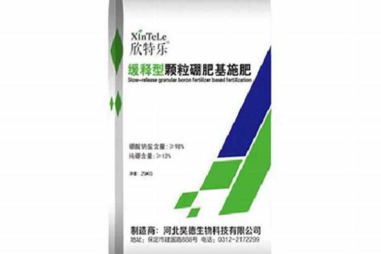 海草的功效与作用
