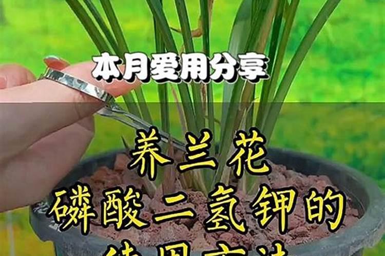 磷酸二氢钾正确施肥方法
