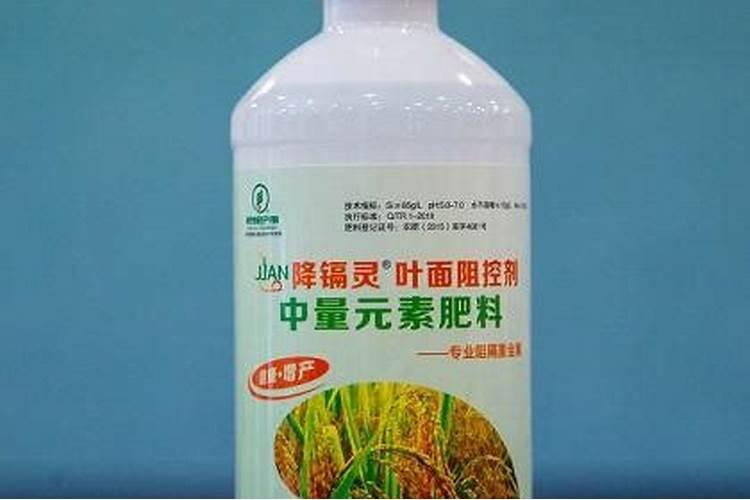 蒜苗叶面肥可以用硅肥不