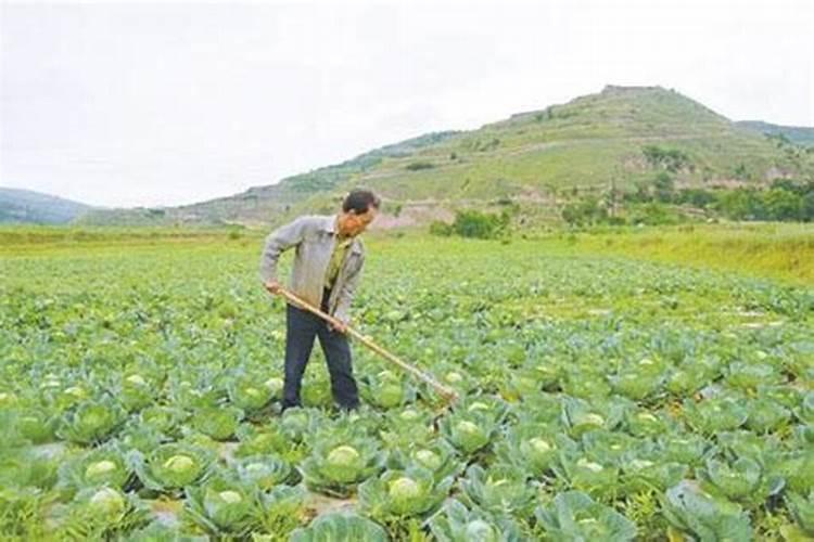 天气冷了,我想下午再带宝贝去打预防针可以吗