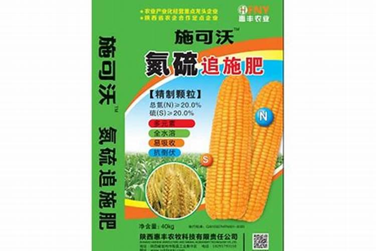 脐橙三大病害如何防治？