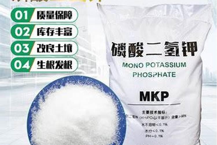 西瓜什么时候打叶面肥