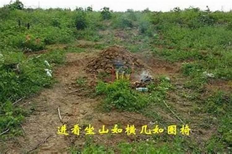 黄桃的科学管理技术