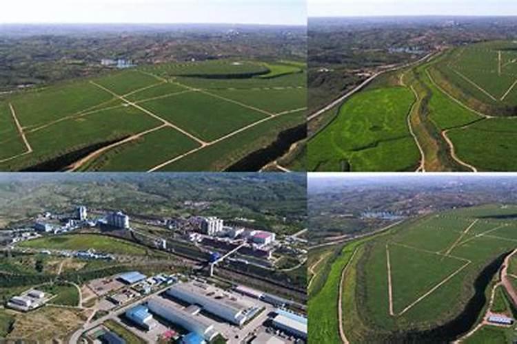 盐碱地种水稻用什么底肥和追肥效果好