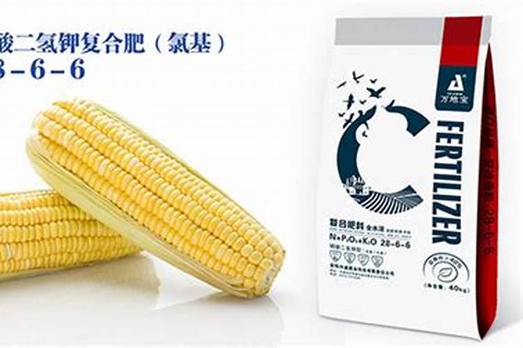 补锌的食物有哪些
