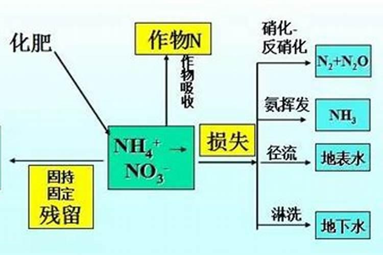 控释肥是什么意思 控释肥和缓释肥的区别