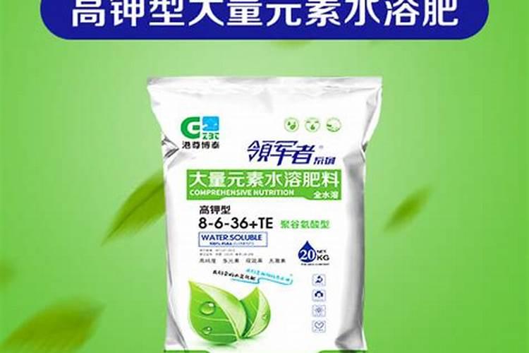芒果什么时间喷药好？