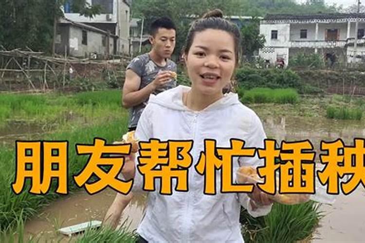 石榴树多久结果 石榴树几年开花结果？